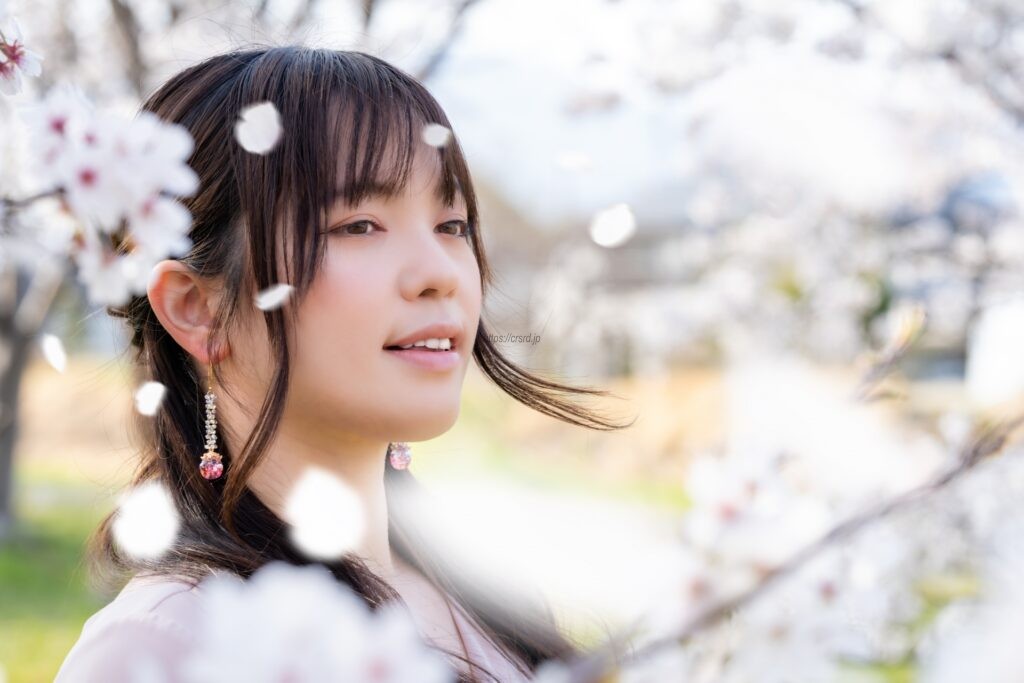 なぜ桜ソングの中の桜は申し合わせたようにいつも「舞い散る」のか？
